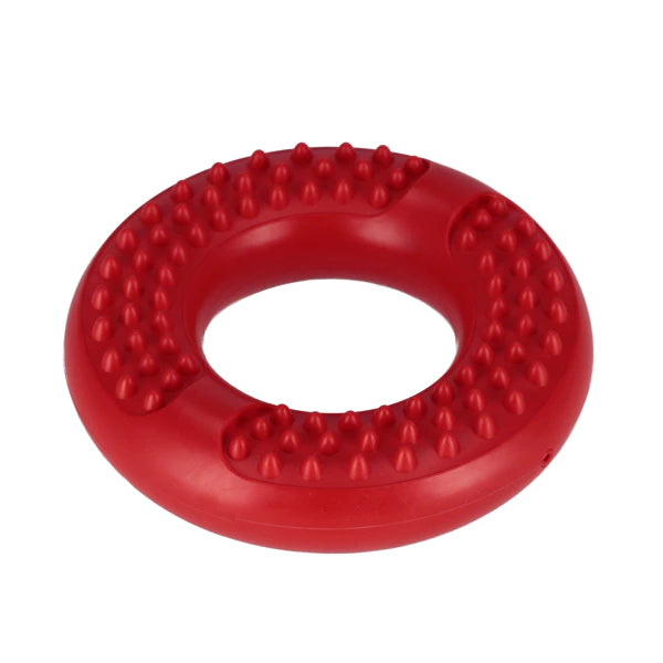 Šunų žaislas – skraidantis diskas (14 cm)