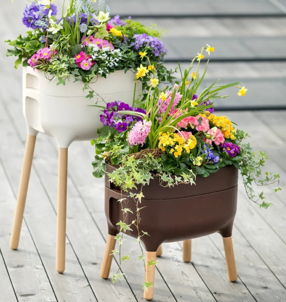 Auginimo konteineris su savaiminio laistymo funkcija Urbalive (Ruda)