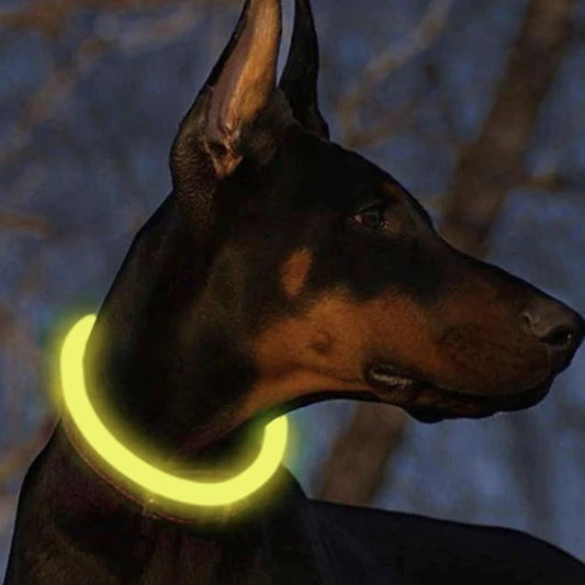 Šviečiantis LED antkaklis „Purlov“ su USB įkrovimu